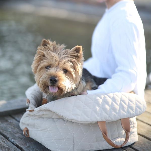 3-in-1 Pet Carriers